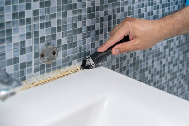 Best Insurance-Related Mold Remediation in Petersburg, VA