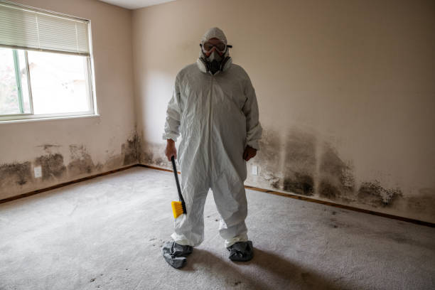 Reliable Petersburg, VA Mold Remediation Solutions